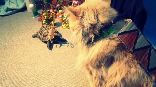 la leyenda de Sant Jordi ( versión casera) смотреть онлайн