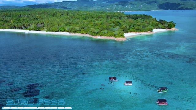 Test Flight Drone SJRC F22S смотреть онлайн