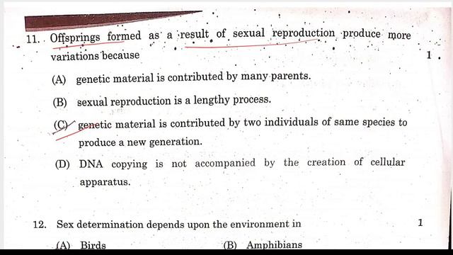 Science class 10 Question Paper 2024 Answers key | Cbse Board Exam 2024 | Exphub | Set 3 смотреть онлайн