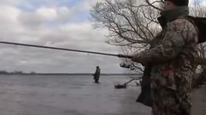 Ловля плотвы весной  матчевым удилищем