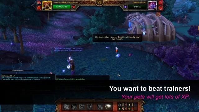 Beginner Pet Battle Guide (Upgrade Gaming: Anovelty) смотреть онлайн