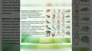 Направления эволюции. Биологический прогресс и регресс. Ароморфоз, идиоадаптация, дегенерация