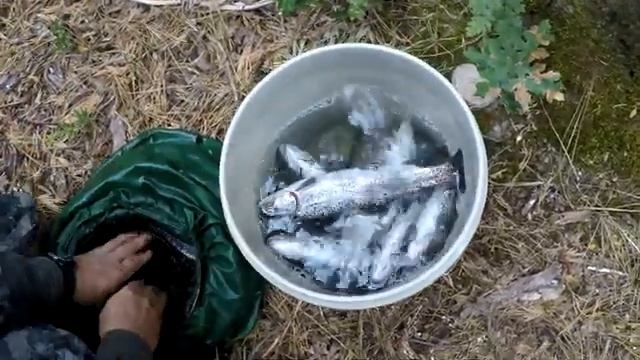 Рыбалка на озере Grace