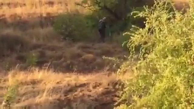 Tlc 70 смотреть онлайн