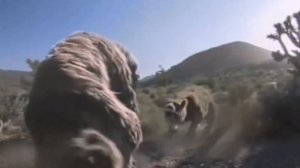 Мегатерий - Доисторический Ленивец | Вымершие животные