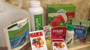 Обработка клубники весной от вредителей и болезней