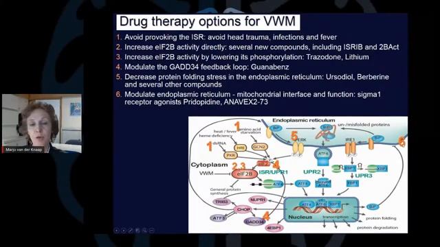 United Leukodystrophy Foundation: VWM смотреть онлайн