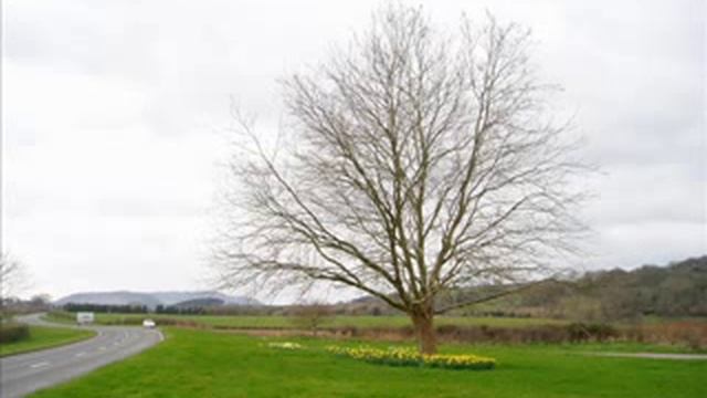 no to T-Mobile Mast in dunley road смотреть онлайн