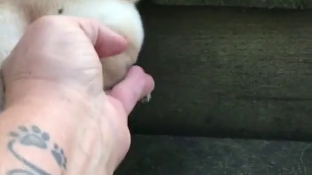 Проблемы с лестницей смотреть онлайн