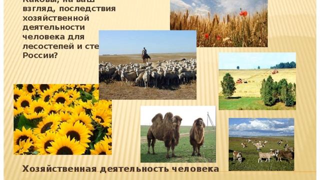 7 к Население степной зон смотреть онлайн