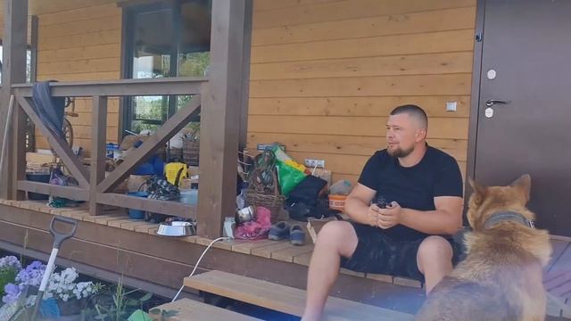 Осиное гнездо, фотосессия у крыльца и дела деревенские смотреть онлайн