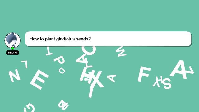 How to plant gladiolus seeds? смотреть онлайн