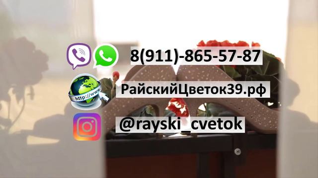 Свадебные аксессуары своими руками смотреть онлайн