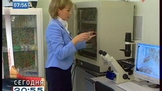 Выращиваем глаз.mpg смотреть онлайн