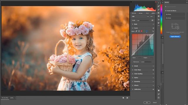 camera raw presets free download 2021 смотреть онлайн