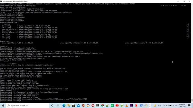 How to install Openldap on RockyLinux or Centos 8 Step by step смотреть онлайн