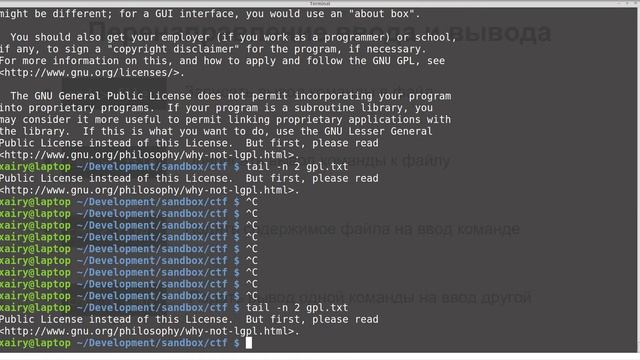 MIPT CTF 2015-2016, Lecture 1, Intro: Bash смотреть онлайн