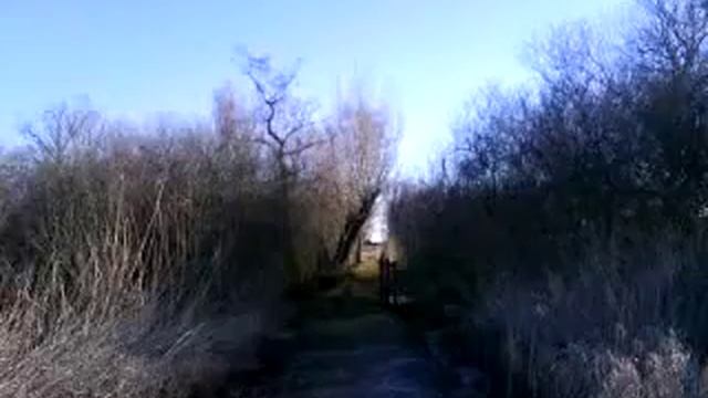 Как поехать в Германию 6 смотреть онлайн