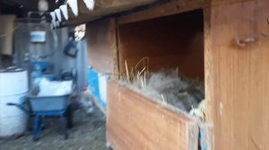 Идеальная клетка для кроликов.