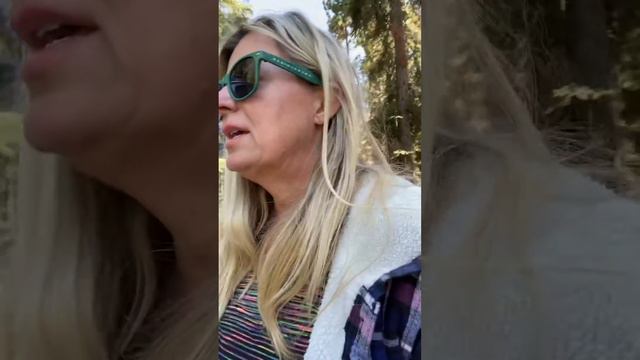 William Kent campground review North Lake Tahoe смотреть онлайн