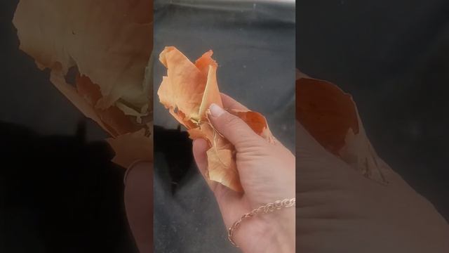 Что положить в лунку при посадке томатов?!?🔥🍅 смотреть онлайн