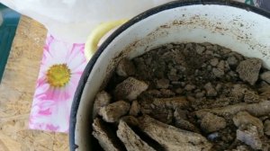 ??ГОТОВИМ СБАЛАНСИРОВАННЫЙ КОРМ КУРАМ НЕСУШКАМ. Состав, пропорции.