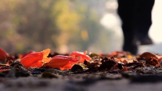 a year in quarantine x mental health смотреть онлайн