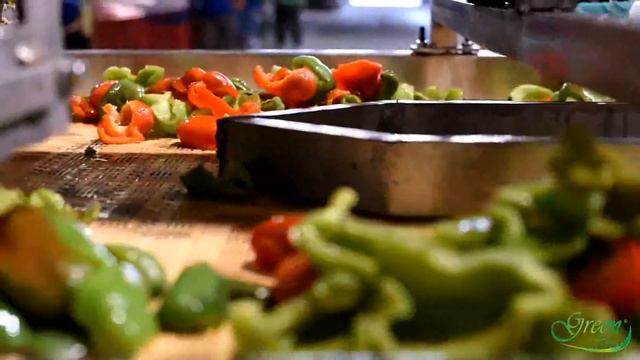 Green Hope Ltd: Pepper process : Jalapeno Lombardi Pepperoncini Cherry Banana IQF Bell Pepper смотреть онлайн