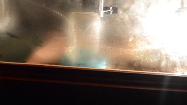 Содержание маленьких перепелят смотреть онлайн