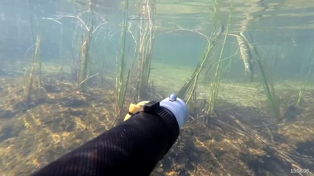 Подводная охота на щуку смотреть онлайн