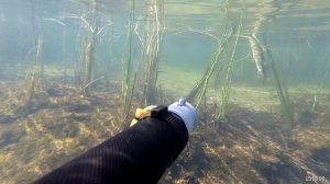 Подводная охота на щуку