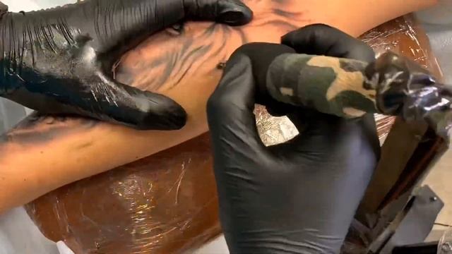 Lion And Cub Timelapse