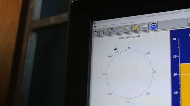 Attraction pour insecte смотреть онлайн