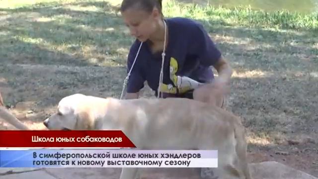 В клубе «Скиф» учат понимать животных смотреть онлайн