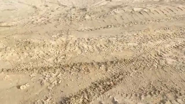 На даче! Или как мы пошли на пески ( в пустыню) смотреть онлайн