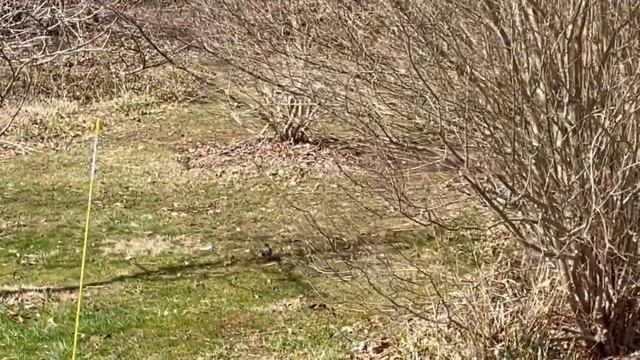 Пример резонанса и дисонанса вибраций в общении смотреть онлайн