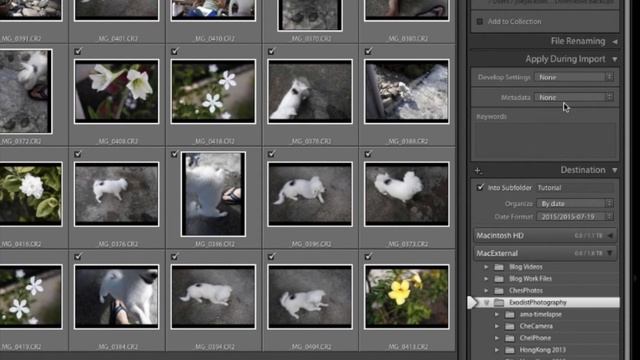 Learn How To Use Lightroom 6 & CC - Importing & Managing Photos смотреть онлайн