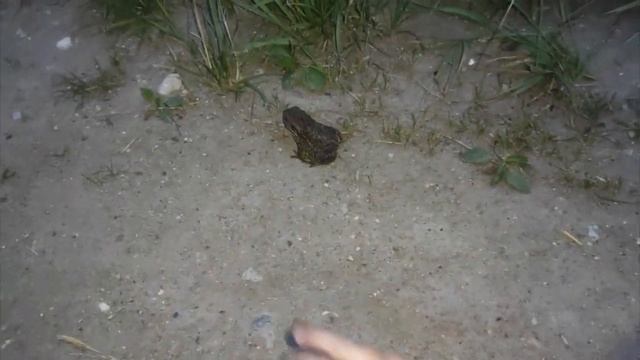 ВЛОГ: Гуляем/ Приехала полить цветы в квартиру