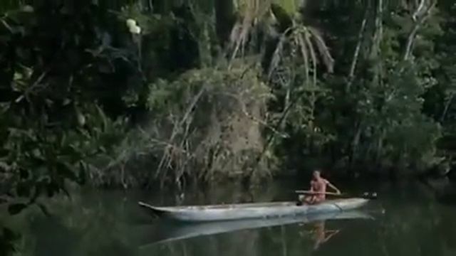 Macaca Julia No Comercial Da Samsung