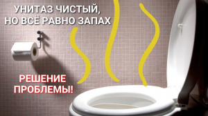 От унитаза плохо пахнет, хотя он чистый: решение проблемы
