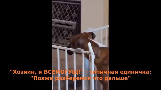 Все энергии дня рождения за 3 минуты смотреть онлайн
