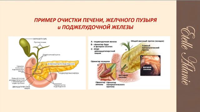 Весеннее омоложение 2.0. Перезагрузка! смотреть онлайн