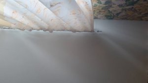 на сколько далеко можно умлышать мой свист часть 1