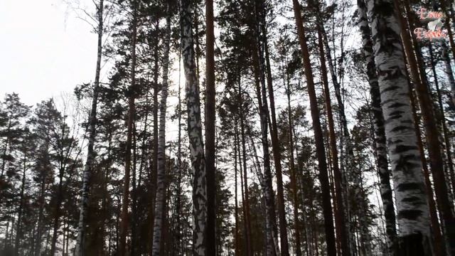 РЕФТИНСКИЙ 23 МАРТА #музыка #рефтинский #свердловскаяобласть смотреть онлайн