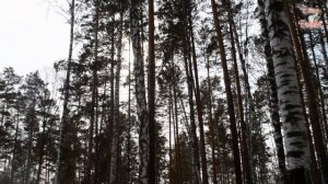 РЕФТИНСКИЙ  23 МАРТА #музыка #рефтинский #свердловскаяобласть