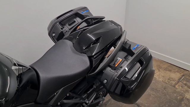 Kawasaki Ninja 1000SX Performance Tourer
