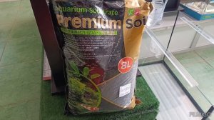 Креветки красный и черный кристалл. Содержание и разведение.