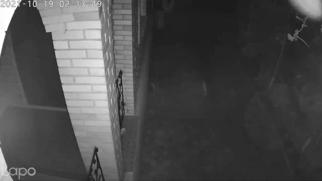 Сработала камера видеонаблюдения. Ночной призрак, круглыц светящийся шар смотреть онлайн