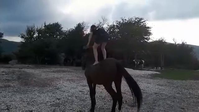 Езда стоя!!! Настоящий ковбой!!! смотреть онлайн