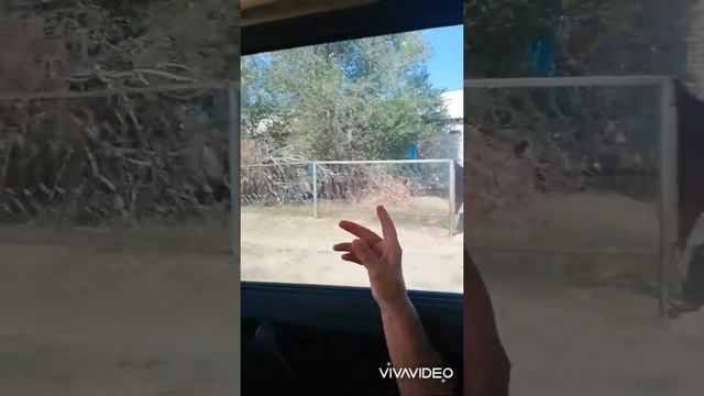 Торгай смотреть онлайн